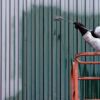 The Ultimate Guide to Hiring Industrial Painters