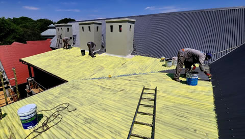 Sheeting Metal Roof Painting