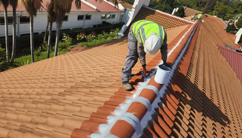 Tile Roof Ridges Maintenance