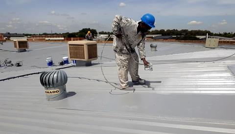 Service Commercial Roof Painting