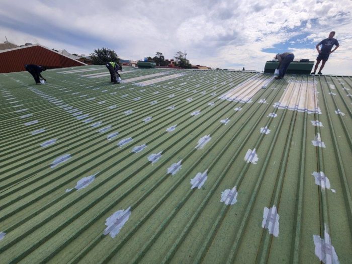 Industrial Metal Roof Painting 7