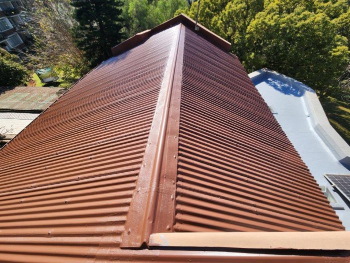 Metal Roof Painting SteelPro 3in1 - 11
