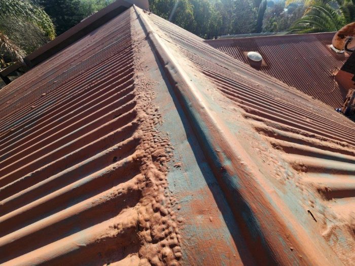 Metal Roof Painting SteelPro 3in1 - 3