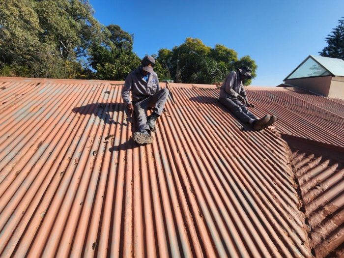 Metal Roof Painting SteelPro 3in1 - 5