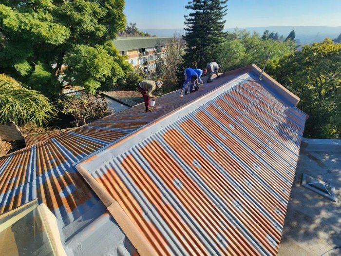 Metal Roof Painting SteelPro 3in1 - 8