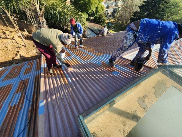 Metal Roof Painting SteelPro 3in1 - 9