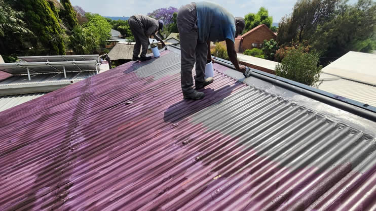 Purple Prime on Residential Roof Purple Prime on Residential Roof