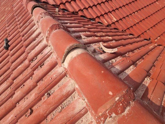 Tile Roof Waterproofing Painting 4