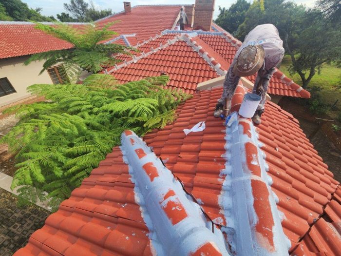 Tile Roof Waterproofing Painting 6
