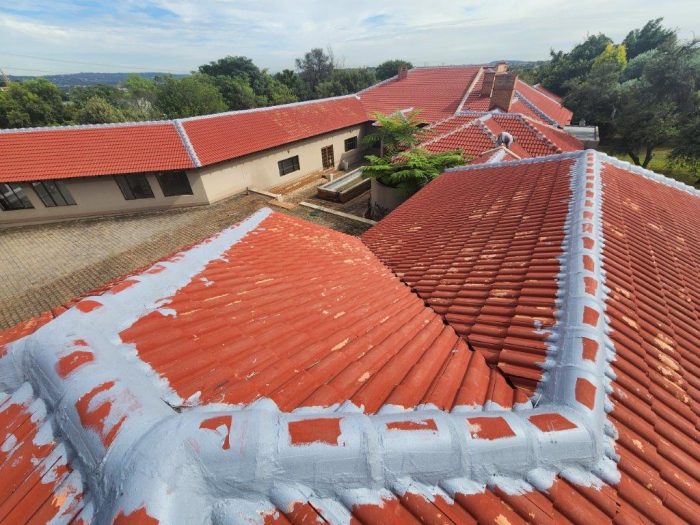 Tile Roof Waterproofing Painting 7