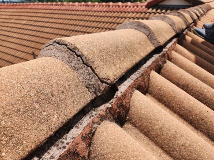 Zuid Afrikaans Hospital Roof Ridge Waterproofing 1.1