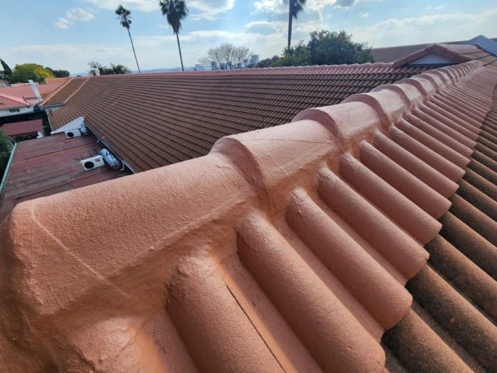 Zuid Afrikaans Hospital Roof Ridge Waterproofing 1