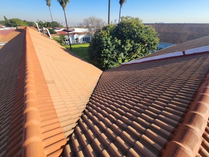 Zuid Afrikaans Hospital Roof Ridge Waterproofing 10