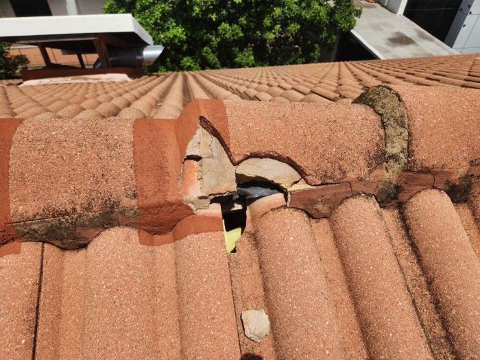 Zuid Afrikaans Hospital Roof Ridge Waterproofing 2
