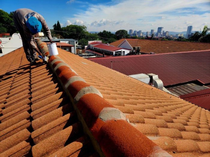 Zuid Afrikaans Hospital Roof Ridge Waterproofing 3