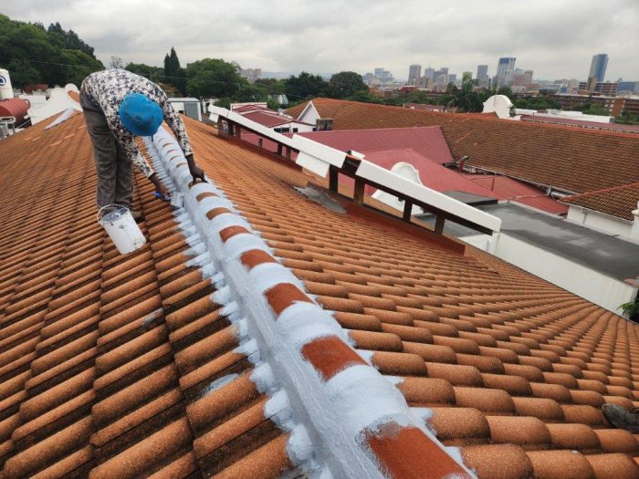 Zuid Afrikaans Hospital Roof Ridge Waterproofing