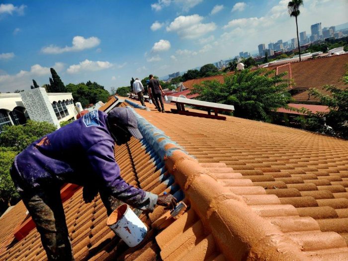 Zuid Afrikaans Hospital Roof Ridge Waterproofing 5