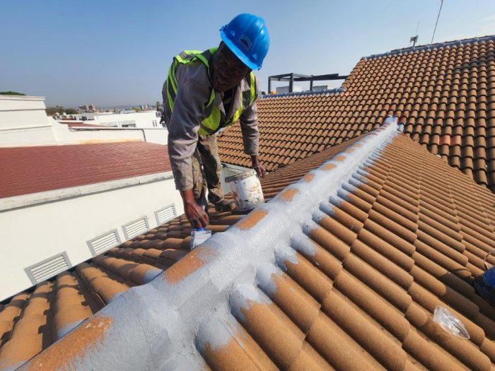 Zuid Afrikaans Hospital Roof Ridge Waterproofing 8