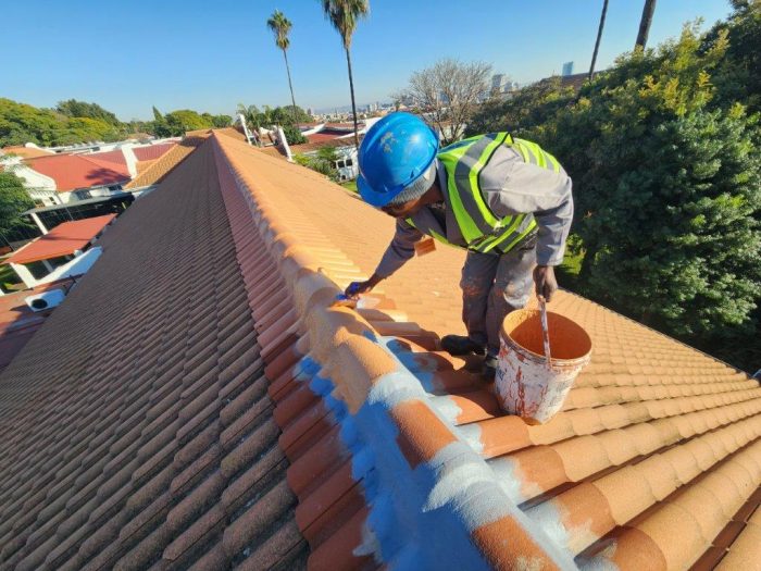 Zuid Afrikaans Hospital Roof Ridge Waterproofing 9
