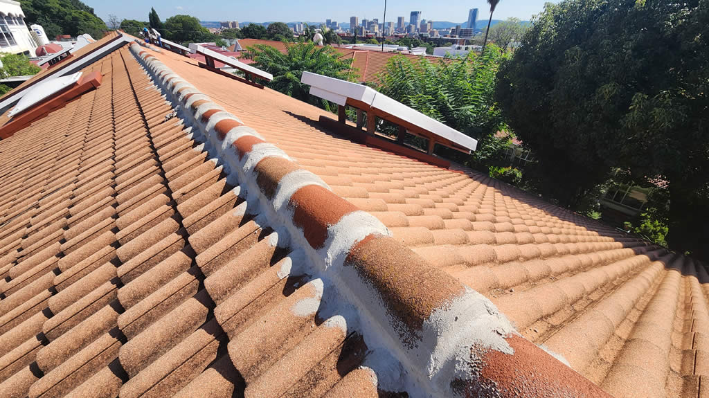 Roof Ridge Cavity Repair