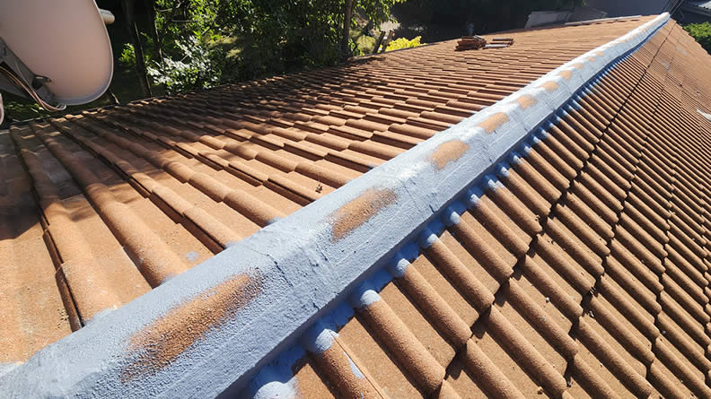 Cement Roof Ridge Mantenance